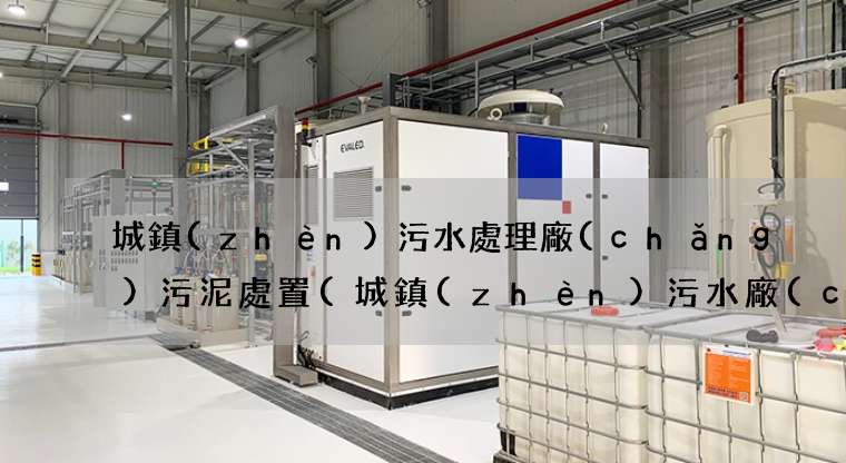 城鎮(zhèn)污水處理廠(chǎng)污泥處置(城鎮(zhèn)污水廠(chǎng)該何去何從)